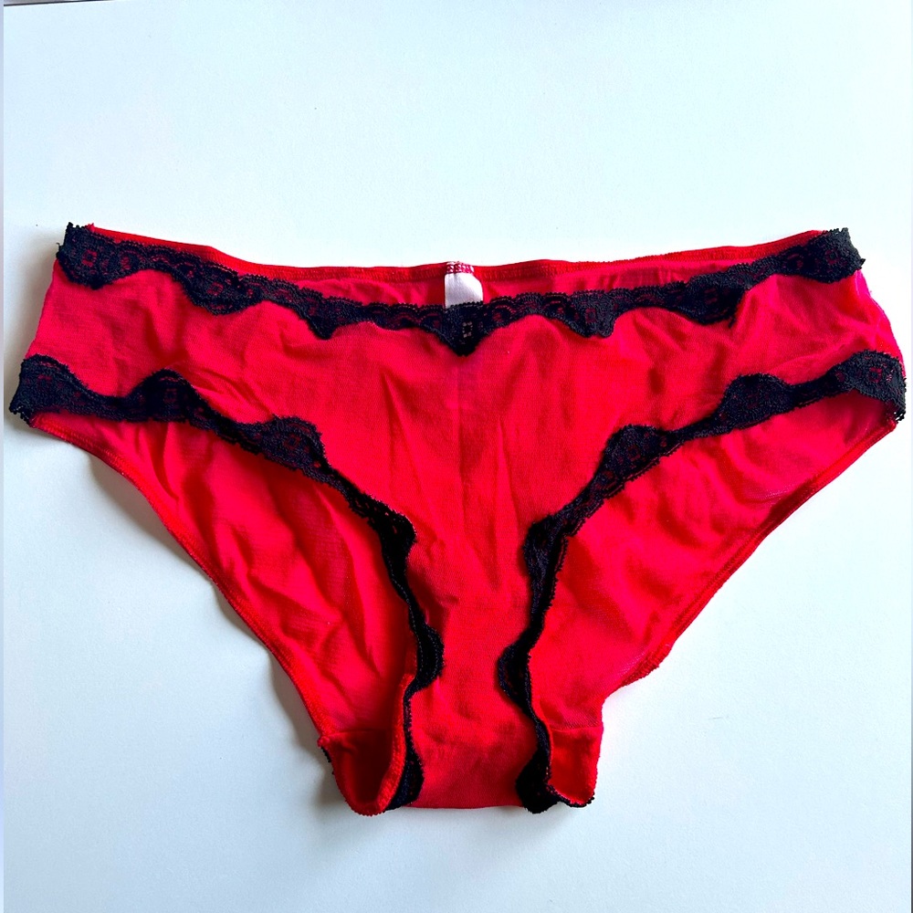 Victoria’s Secret sheer mesh bikini w lace detailing
